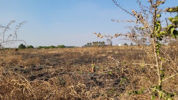  Land For Sale in Pappampatti
