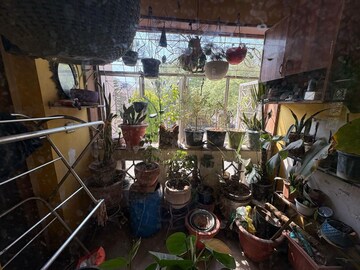 2 BHK Independent House – Exterior View View at Omicron Ii Greater Noida - for Sale