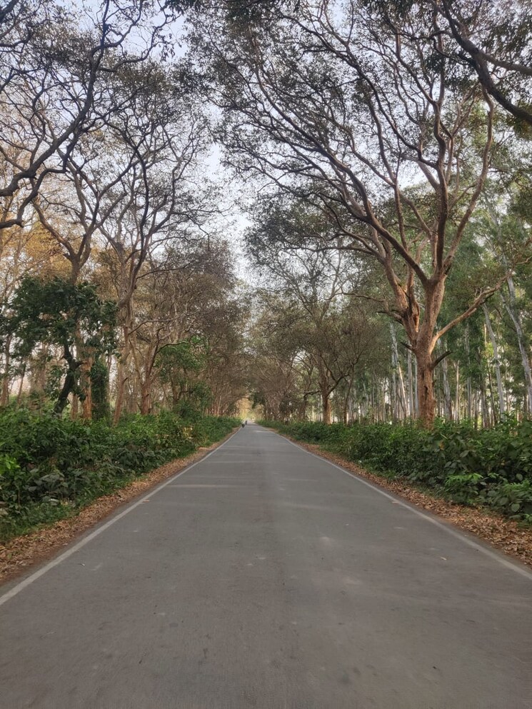 Exterior View, ecotech 11 greater noida  60 Sq.Yd. Plot In Ecotech 11 Greater Noida Greater Noida 8578313