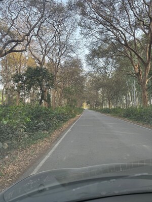  Plot – Exterior View View at Ecotech 11 Greater Noida - for Sale