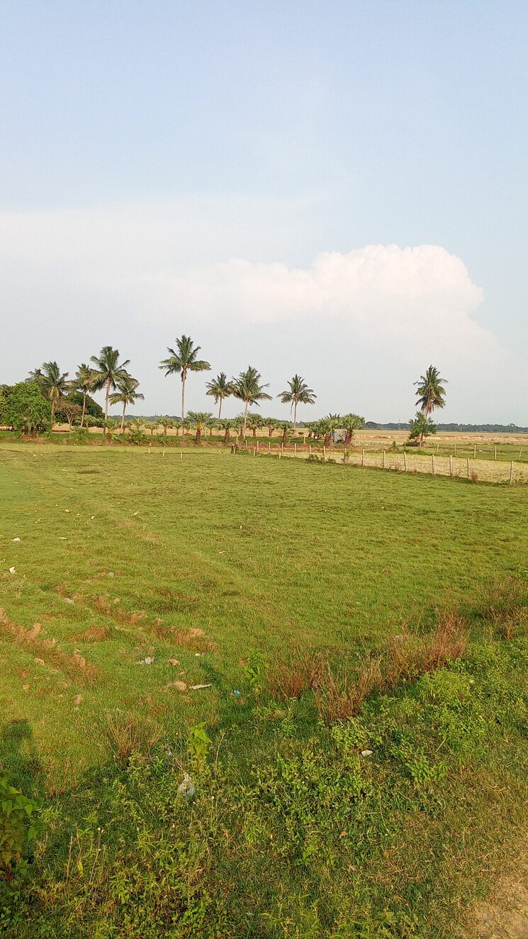 undefined, ranga bazar  8000 Sq.Ft. Plot In Ranga Bazar Bhubaneswar 8578447