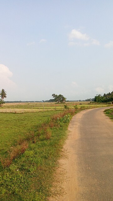 Plot Area in  Plot at Ranga Bazar – for Sale
