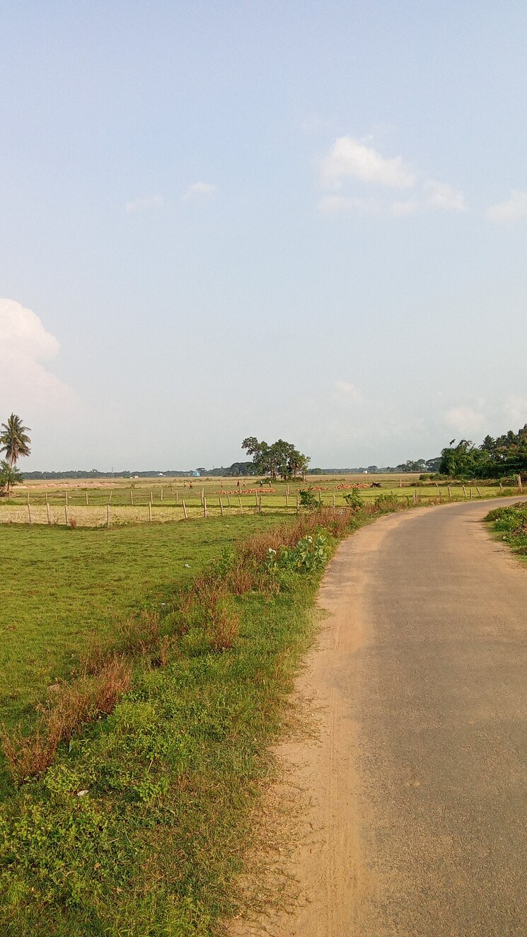 undefined, ranga bazar  8000 Sq.Ft. Plot In Ranga Bazar Bhubaneswar 8578447