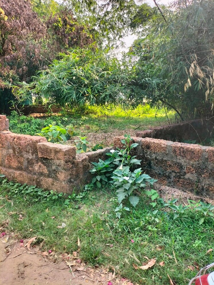 undefined, ranga bazar  8000 Sq.Ft. Plot In Ranga Bazar Bhubaneswar 8578447