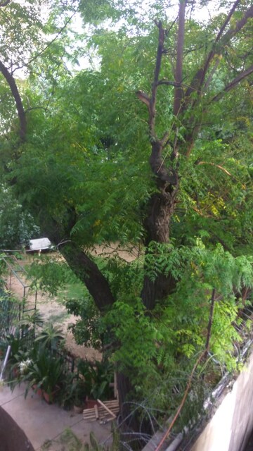 1 RK Builder Floor – Exterior View View at RWA DDA Flats Kalkaji, East Of Kailash - for Rent