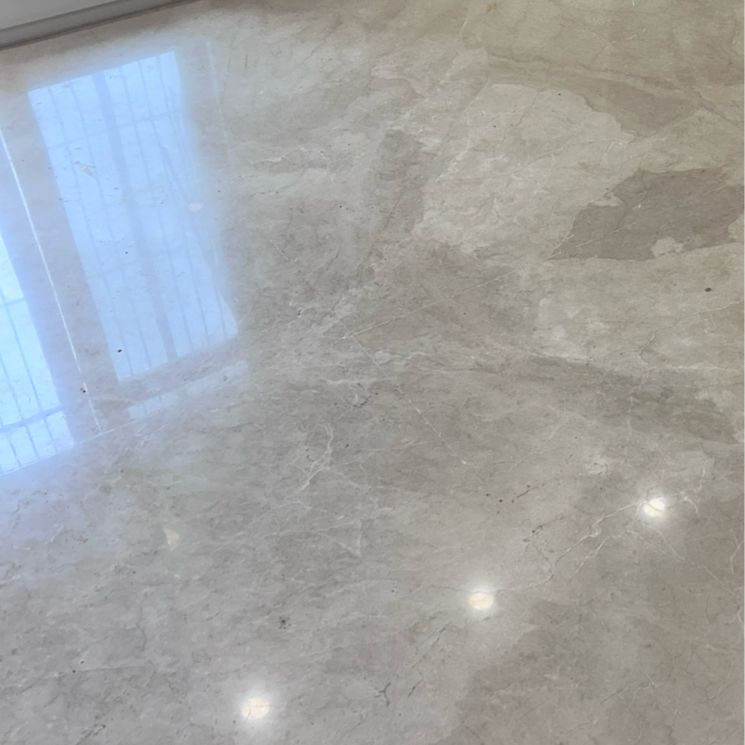 Other, kalkaji 2 Bedroom 900 Sq.Ft. Builder Floor In Kalkaji Delhi 8517785