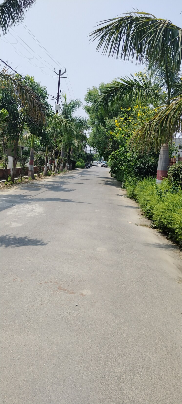 Garden, ganga nagar  105 Sq.Yd. Plot In Ganga Nagar Meerut 8579110