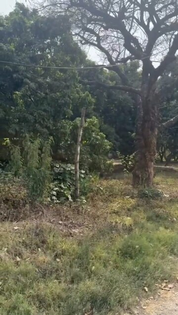 Plot Area in  Plot at Dehradun Cantt – for Sale