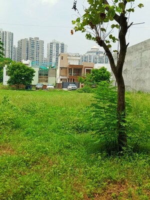  Plot For Sale in Ansal Api Aquapolis, Dundahera