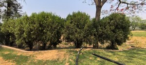 Plot Area in  Plot at Garhi Harsaru – for Sale