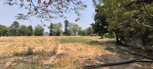 Plot Area in  Plot at Garhi Harsaru – for Sale