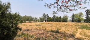 Plot Area in  Plot at Garhi Harsaru – for Sale