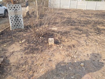 Plot Area in  Plot at Kandi – for Sale
