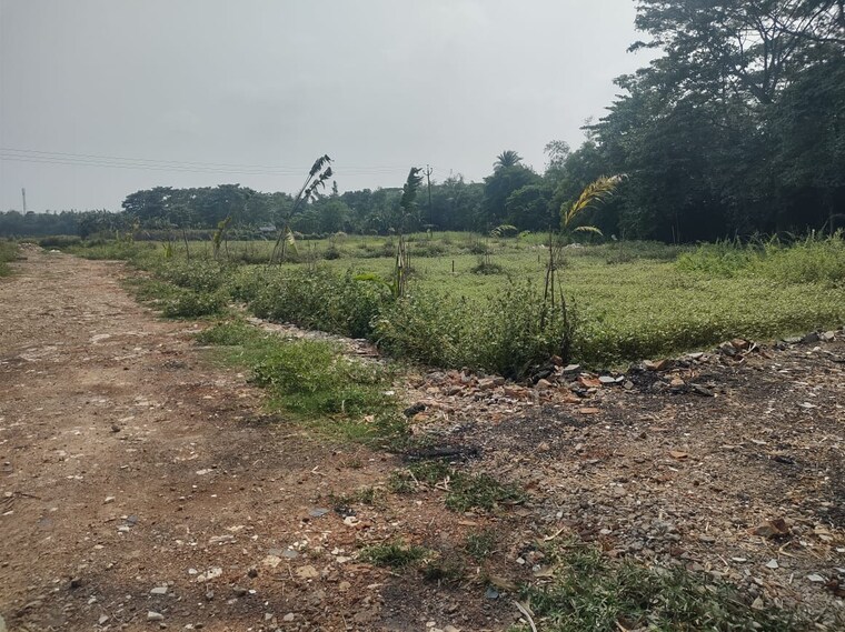undefined, amtala baruipur road  1440 Sq.Ft. Plot In AmtalA Baruipur Road Kolkata 8581828