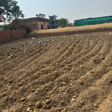 Plot Area in  Plot at Badowala – for Sale