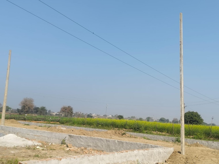 undefined, dankaur-inner-township  50 Sq.Yd. Plot In Dankaur Greater Noida 8583131