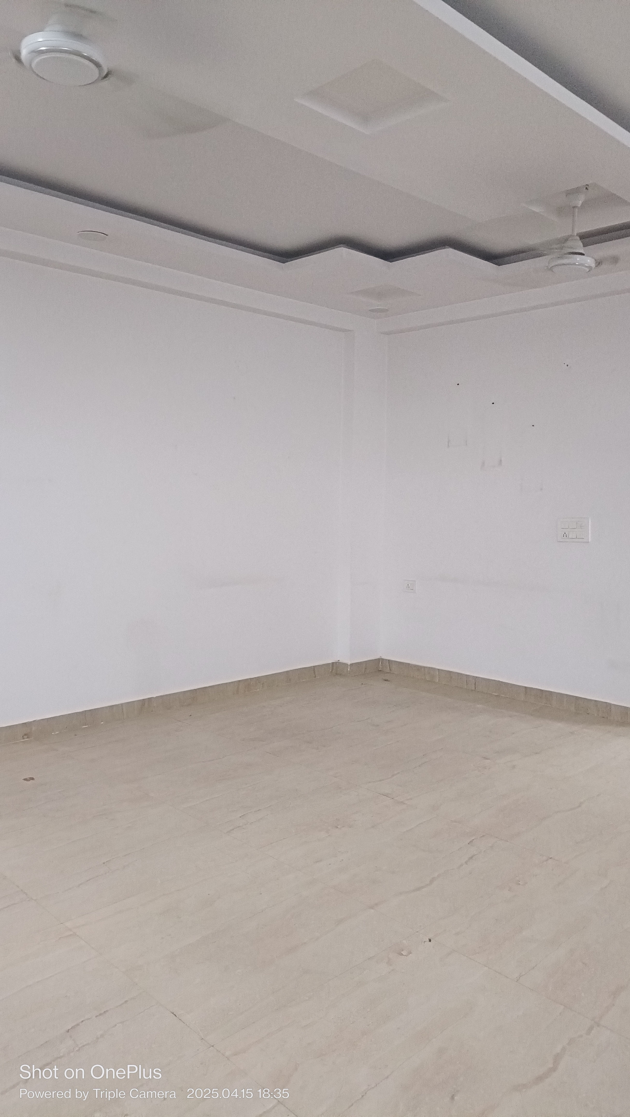 3 BHK + Pooja Room Builder Floor For Rent in Ashoka Enclave 3