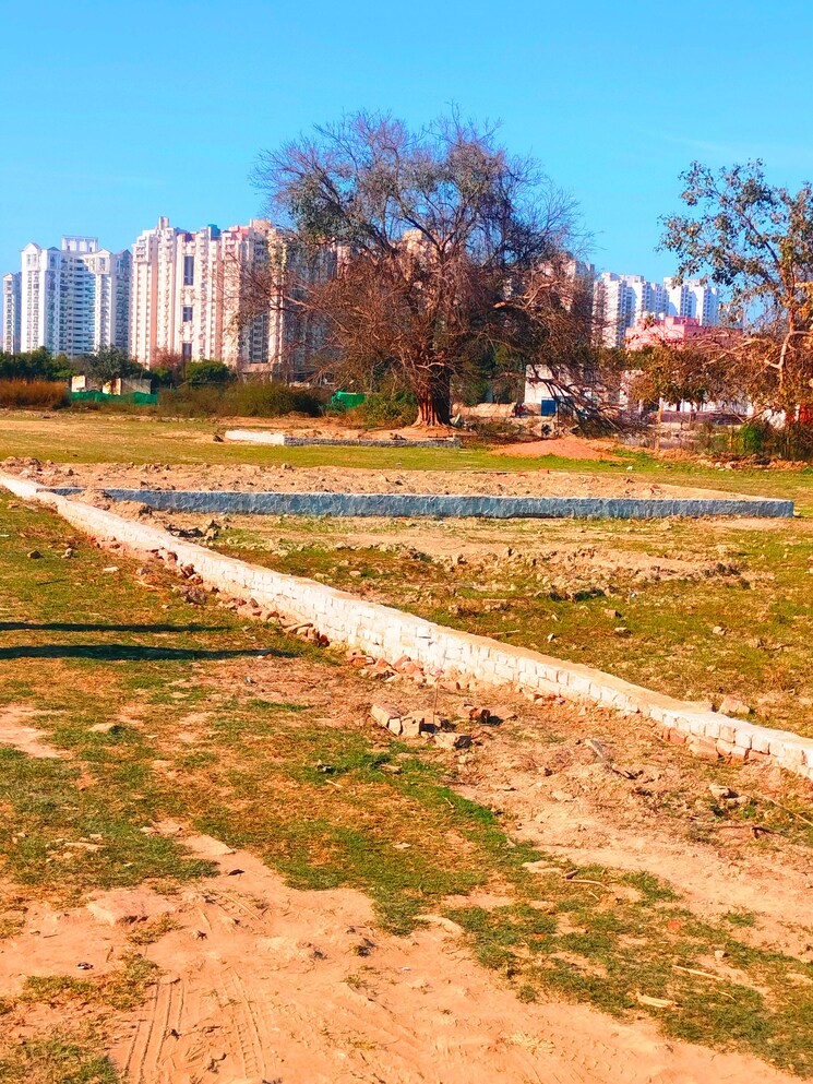 Garden, sector 137  900 Sq.Ft. Plot In Sector 137 Noida 8583414