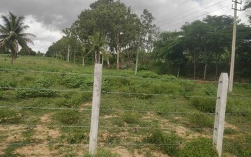 Plot For Sale in Tata Nagar