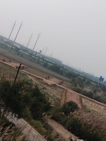 Plot Area in  Plot at Basantpur Saitli – for Sale