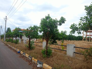 Plot Area in  Plot at Pharma Green City, Yacharam – for Sale