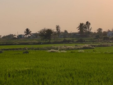  Land For Sale in Ramanuthula