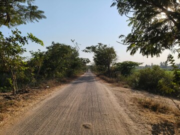 Plot Area in  Land at Ramanuthula – for Sale