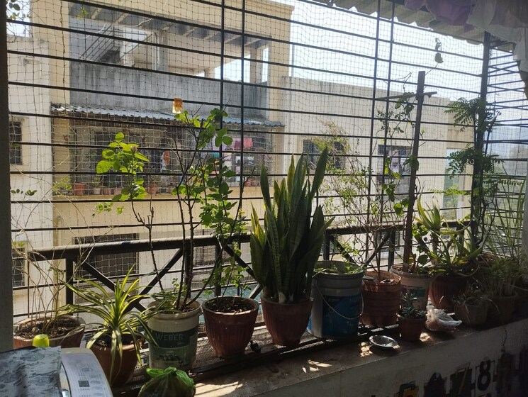 Gym, gulmohar-chs-shivane 1 Bedroom 600 Sq.Ft. Apartment In Shivane Pune 8583642