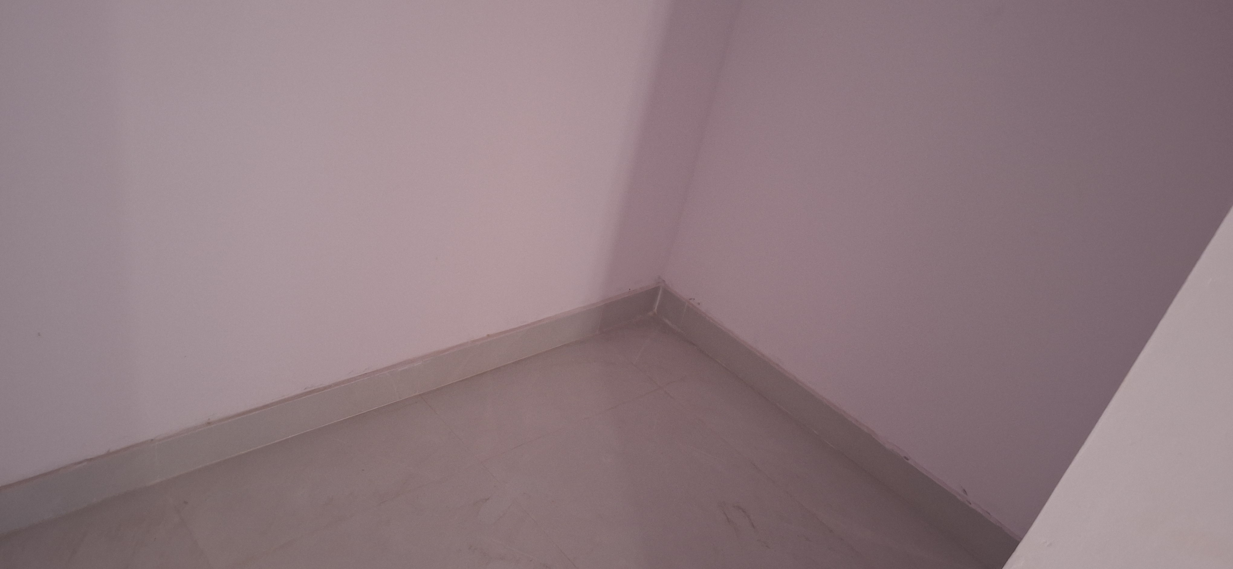 2.5 BHK + Pooja Room,Extra Room Independent House For Rent in Shree Balaji Towers