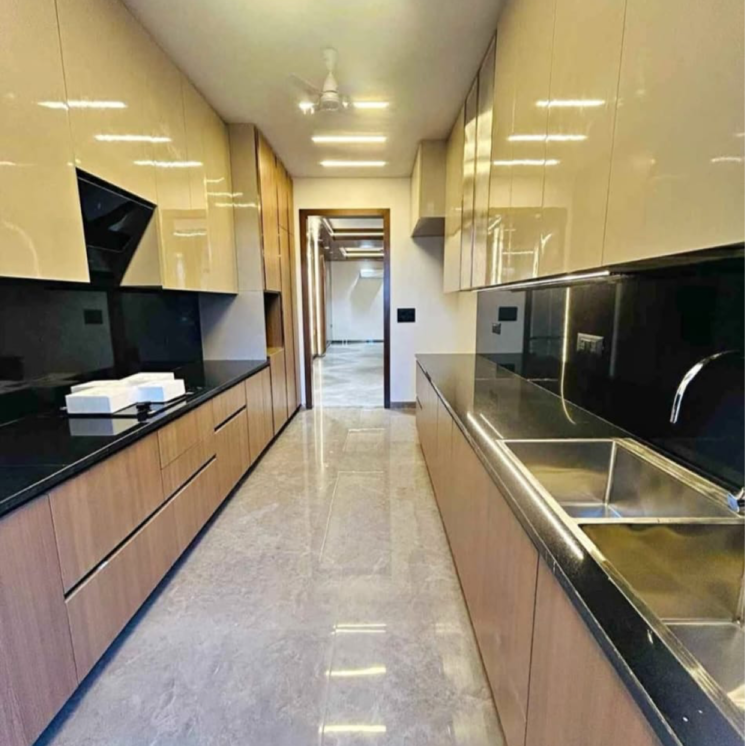 Kitchen, the-images-floors 4 Bedroom 263 Sq.Ft. Builder Floor In Sector 51 Gurgaon 8583871