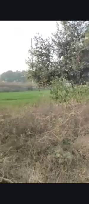  Plot For Sale in Madhuban Bapudham