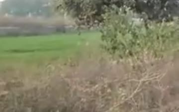 Plot For Sale in Madhuban Bapudham