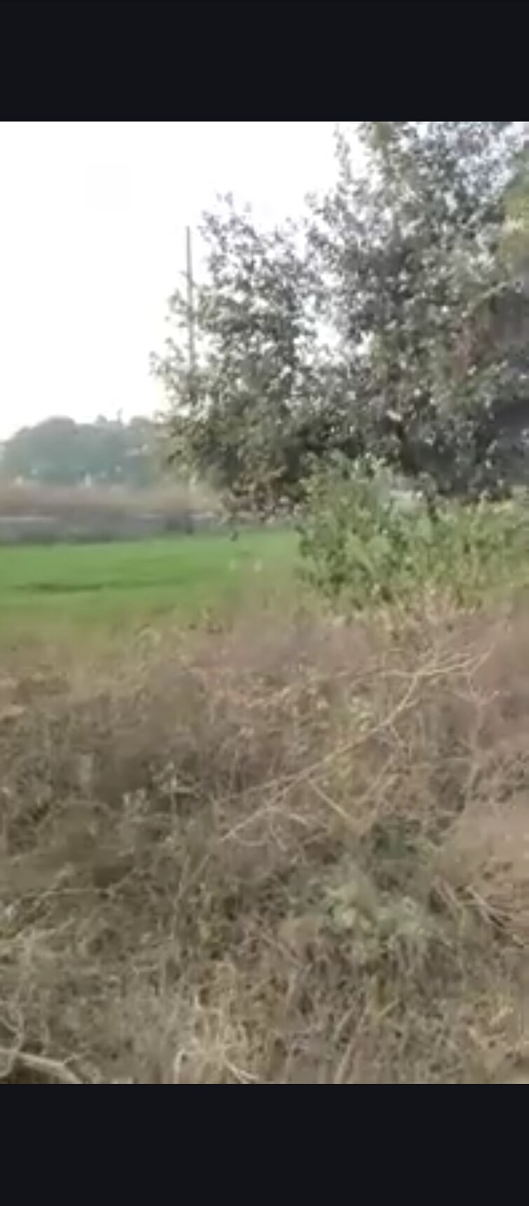 Cover Image, madhuban bapudham  60 Sq.Mt. Plot In Madhuban Bapudham Ghaziabad 8583887