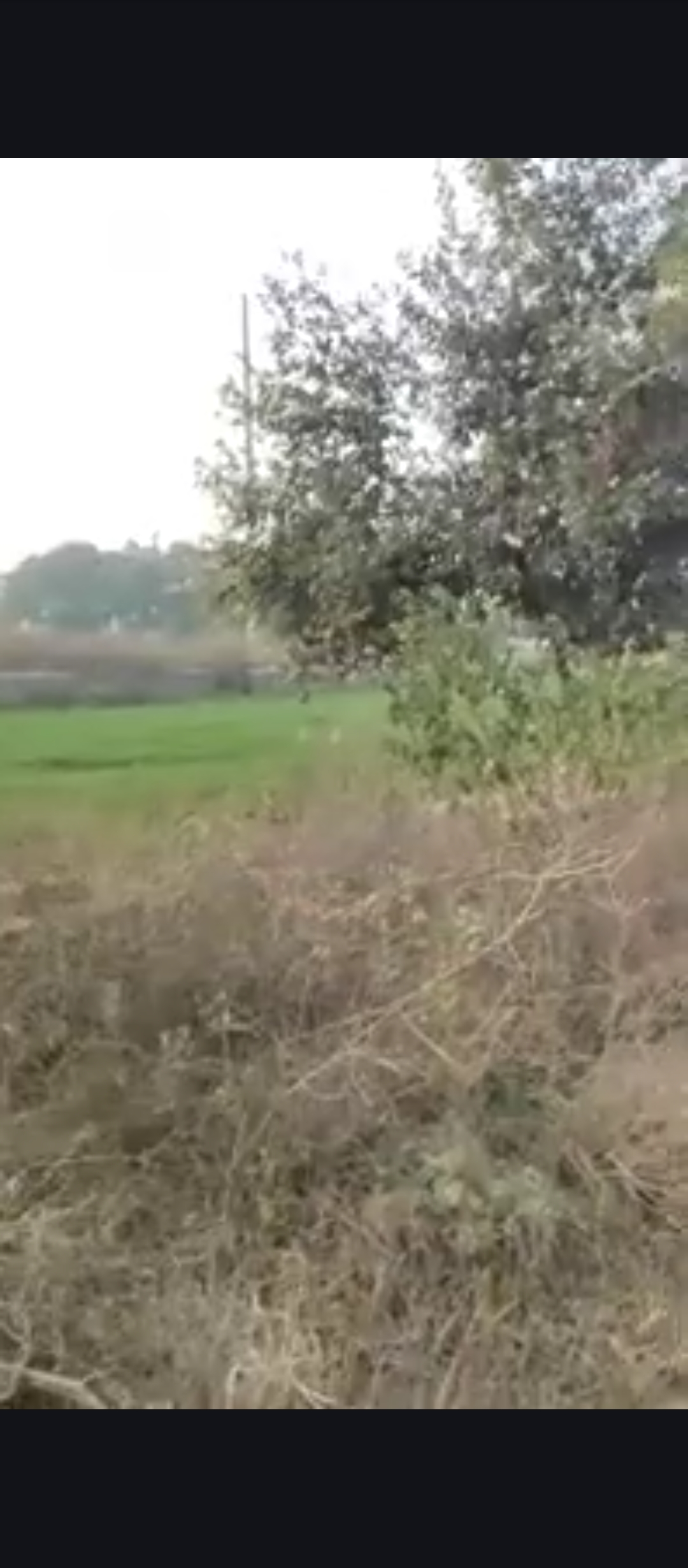 Plot For Sale in Madhuban Bapudham