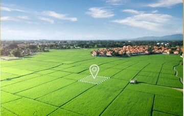  Plot For Sale in Sector 7