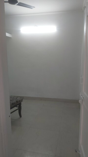 3.5 BHK Builder Floor For Rent in Mayur Vihar