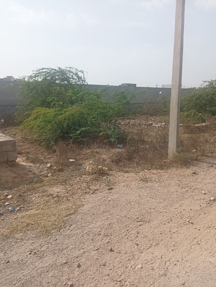 undefined, jagatpura  288 Sq.Yd. Plot In Jagatpura Jaipur 8584240
