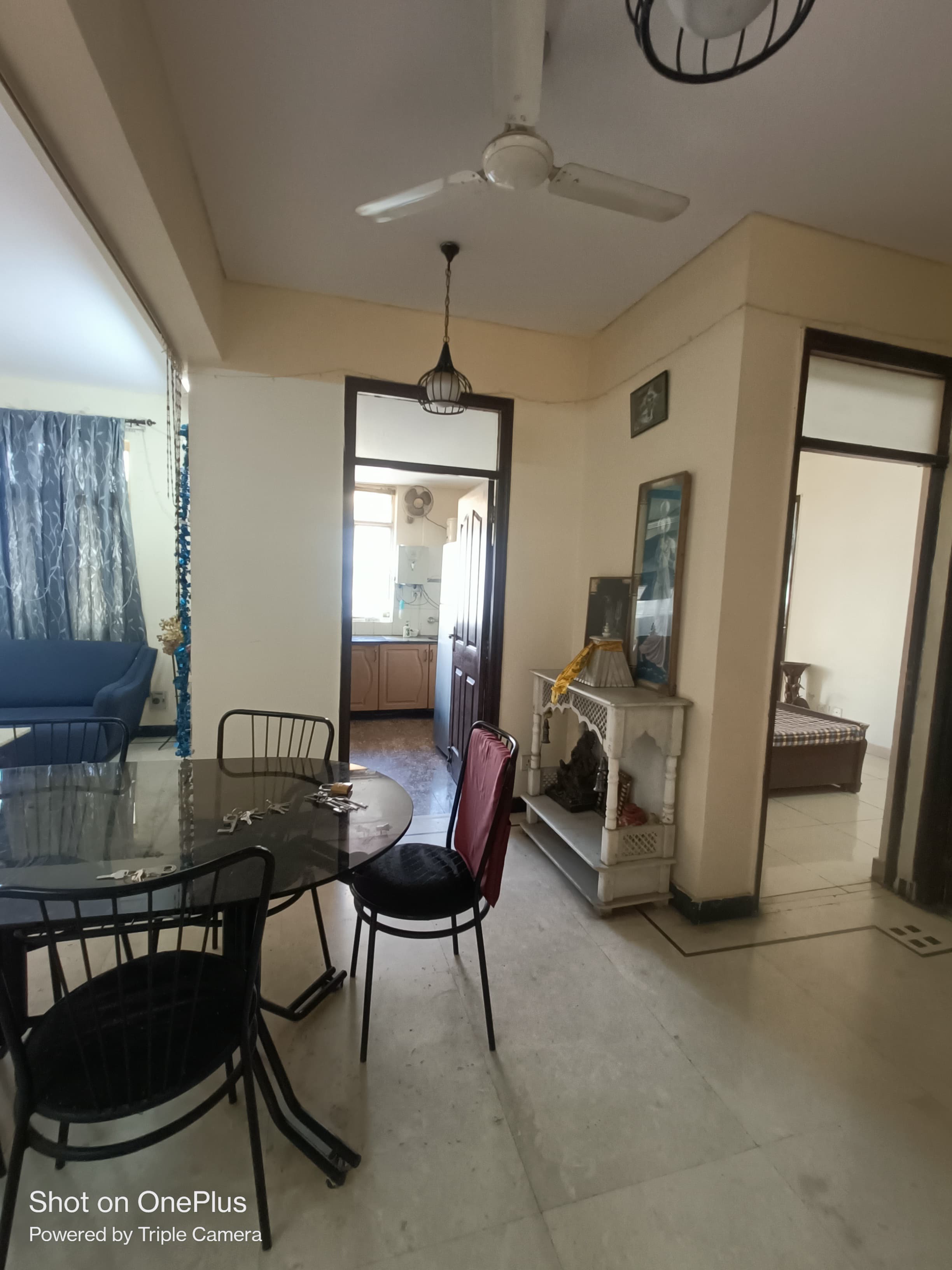 3 BHK Apartment For Rent in Maple Heights