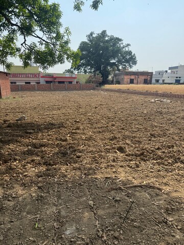 Plot Area in  Plot at Badowala – for Sale