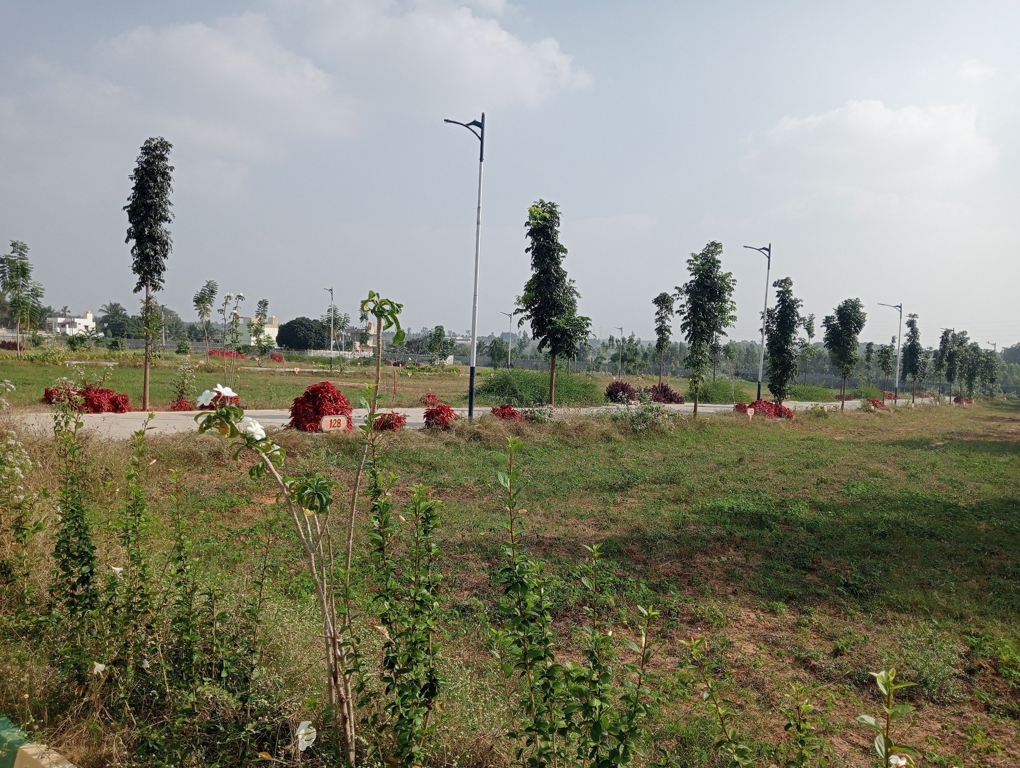 Plot For Sale in Sector 62