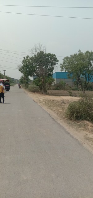  Land – Exterior View View at Duhai - for Sale