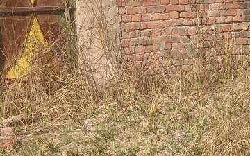 Plot For Sale in Kalindi Kunj