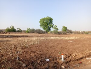 Plot Area in  Plot at Mhasrul – for Sale