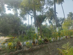  Plot – Garden View at Thakurpukur Bibirhat Bakhrahat Raipur Road - for Sale