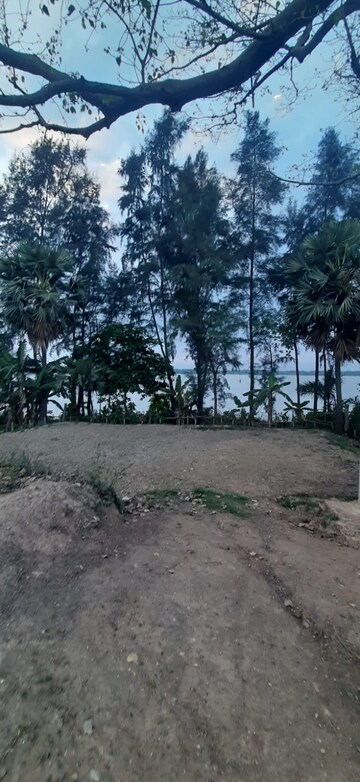 Plot Area in  Plot at Thakurpukur Bibirhat Bakhrahat Raipur Road – for Sale