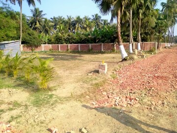 Plot Area in  Plot at Thakurpukur Bibirhat Bakhrahat Raipur Road – for Sale