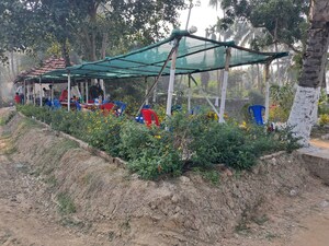  Plot – Exterior View View at Thakurpukur Bibirhat Bakhrahat Raipur Road - for Sale