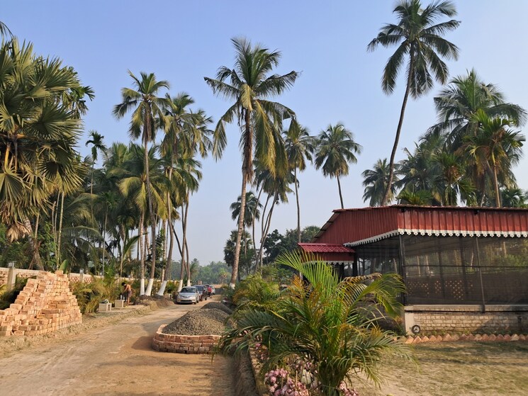 Exterior View, thakurpukur bibirhat bakhrahat raipur road  1440 Sq.Ft. Plot In Thakurpukur Bibirhat Bakhrahat Raipur Road Kolkata 8584729