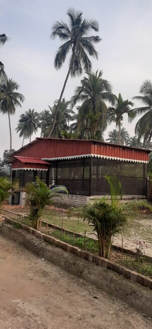  Plot – Exterior View View at Thakurpukur Bibirhat Bakhrahat Raipur Road - for Sale