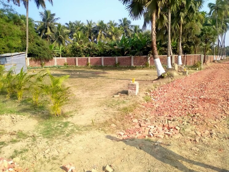undefined, thakurpukur bibirhat bakhrahat raipur road  1440 Sq.Ft. Plot In Thakurpukur Bibirhat Bakhrahat Raipur Road Kolkata 8584848